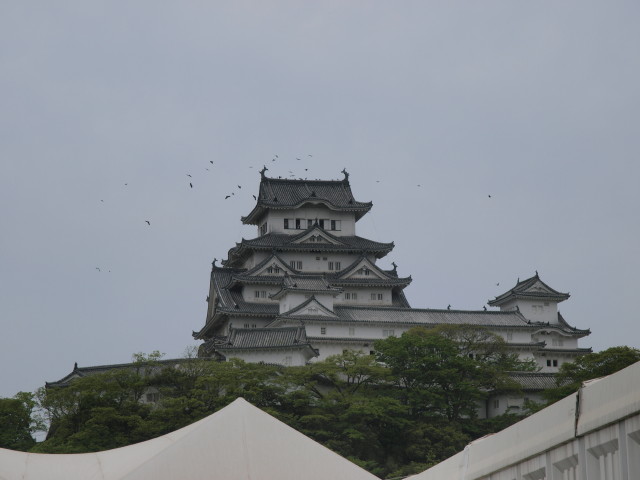 img0011.jpg