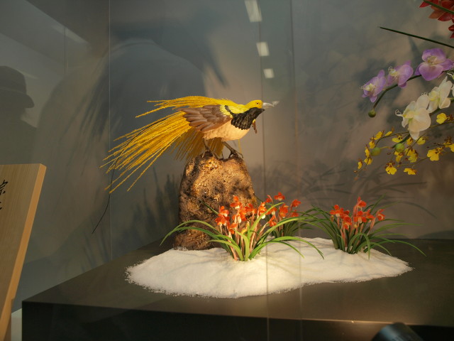 img0038.jpg