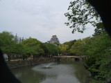 img0047.jpg