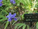 img0000.jpg