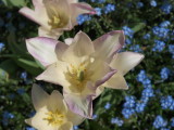 img0006.jpg