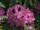img0011.jpg