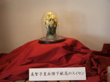 img0004.jpg