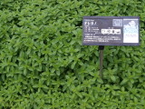 img0007.jpg