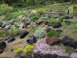 img0014.jpg