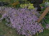 img0015.jpg