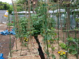 img0039.jpg