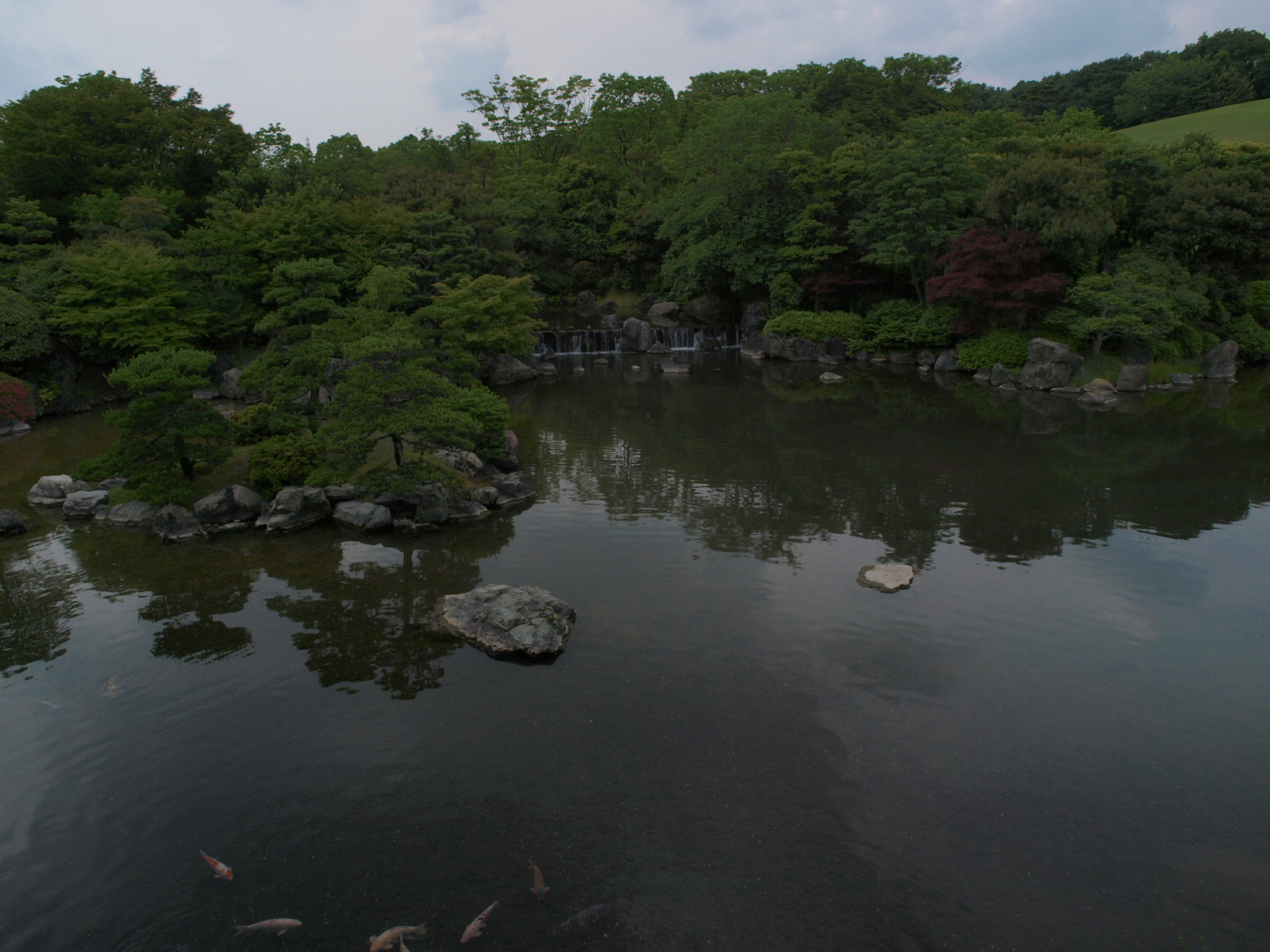 P6080667.JPG