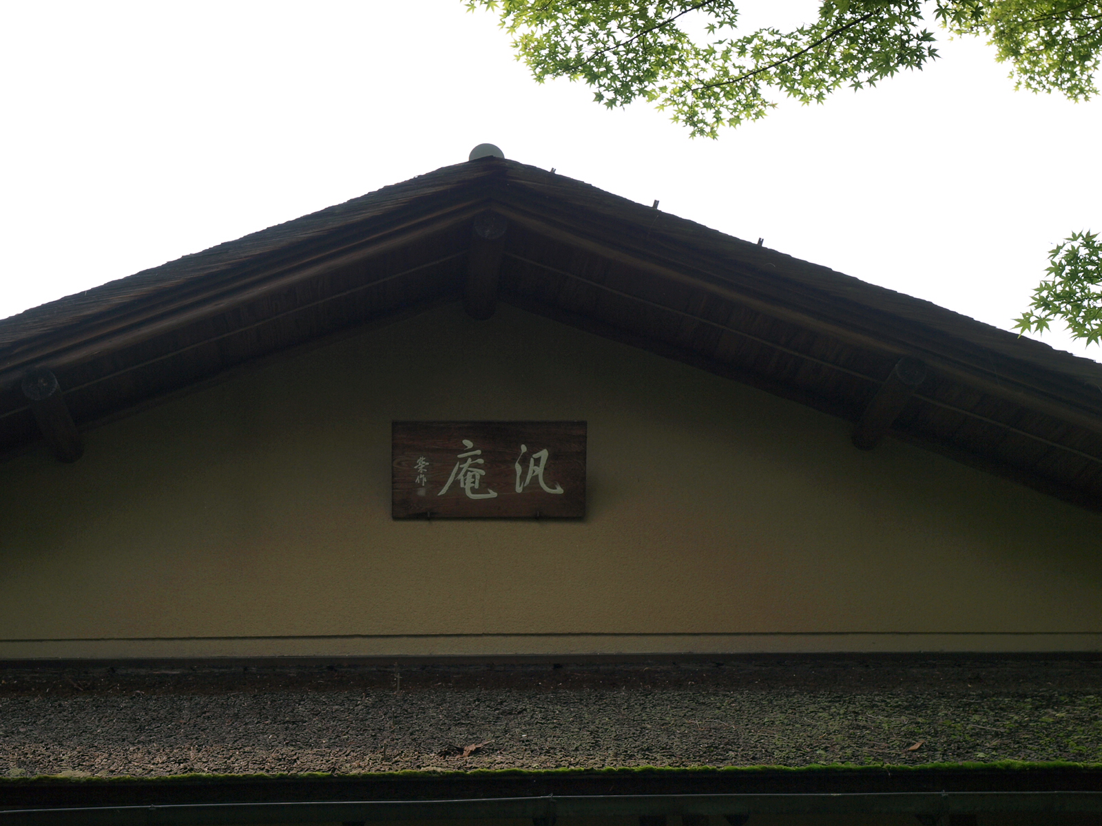 P6080674.JPG