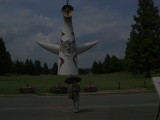 img0005.jpg