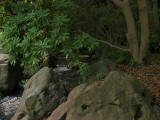 img0014.jpg