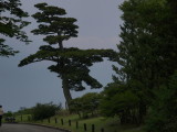 img0018.jpg