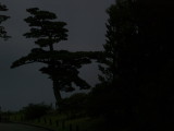 img0019.jpg