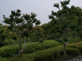 img0022.jpg