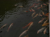 img0023.jpg