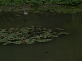 img0025.jpg