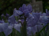 img0028.jpg