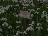 img0053.jpg
