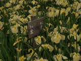 img0057.jpg
