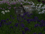 img0059.jpg