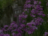 img0064.jpg