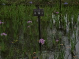 img0068.jpg