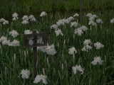 img0077.jpg