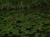 img0017.jpg