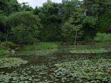 img0018.jpg