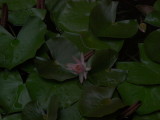 img0019.jpg