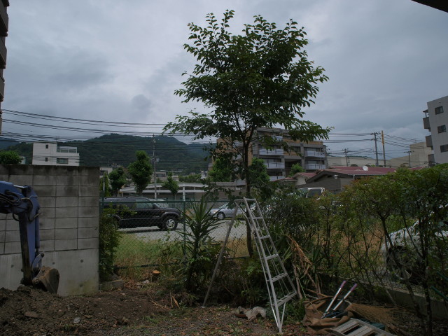 img0007.jpg