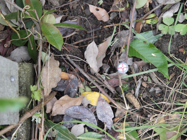 img0020.jpg