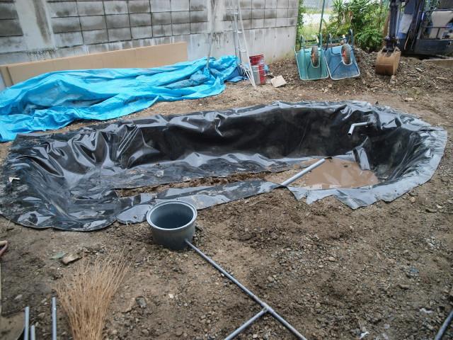 img0033.jpg