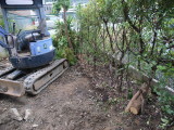 img0034.jpg