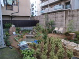 img0106.jpg
