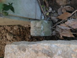 img0112.jpg
