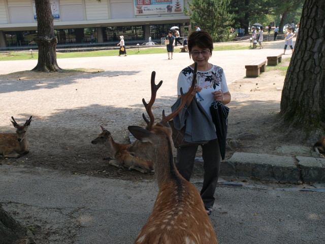img0008.jpg