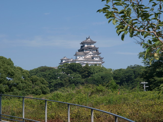 img0003.jpg