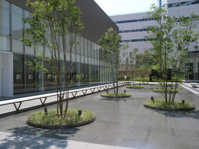 img0006.jpg