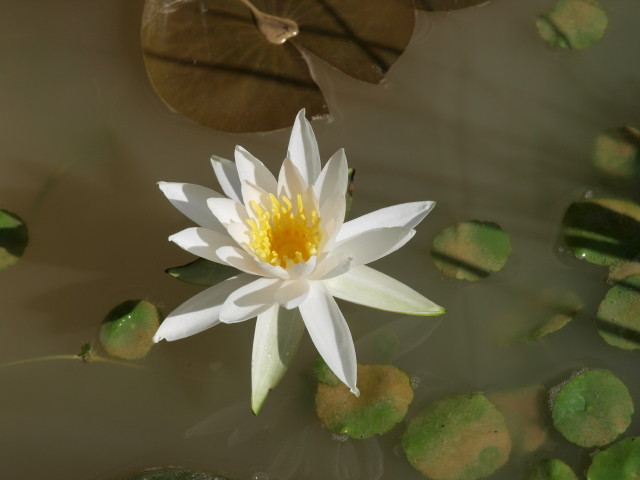img0002.jpg