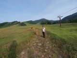 img0037.jpg