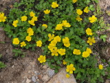 img0122.jpg