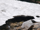 img0123.jpg