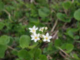 img0126.jpg