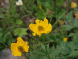 img0128.jpg