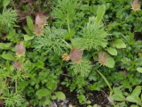 img0131.jpg