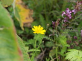 img0138.jpg