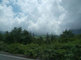 img0143.jpg