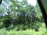 img0150.jpg