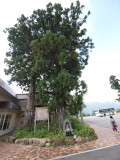 img0151.jpg